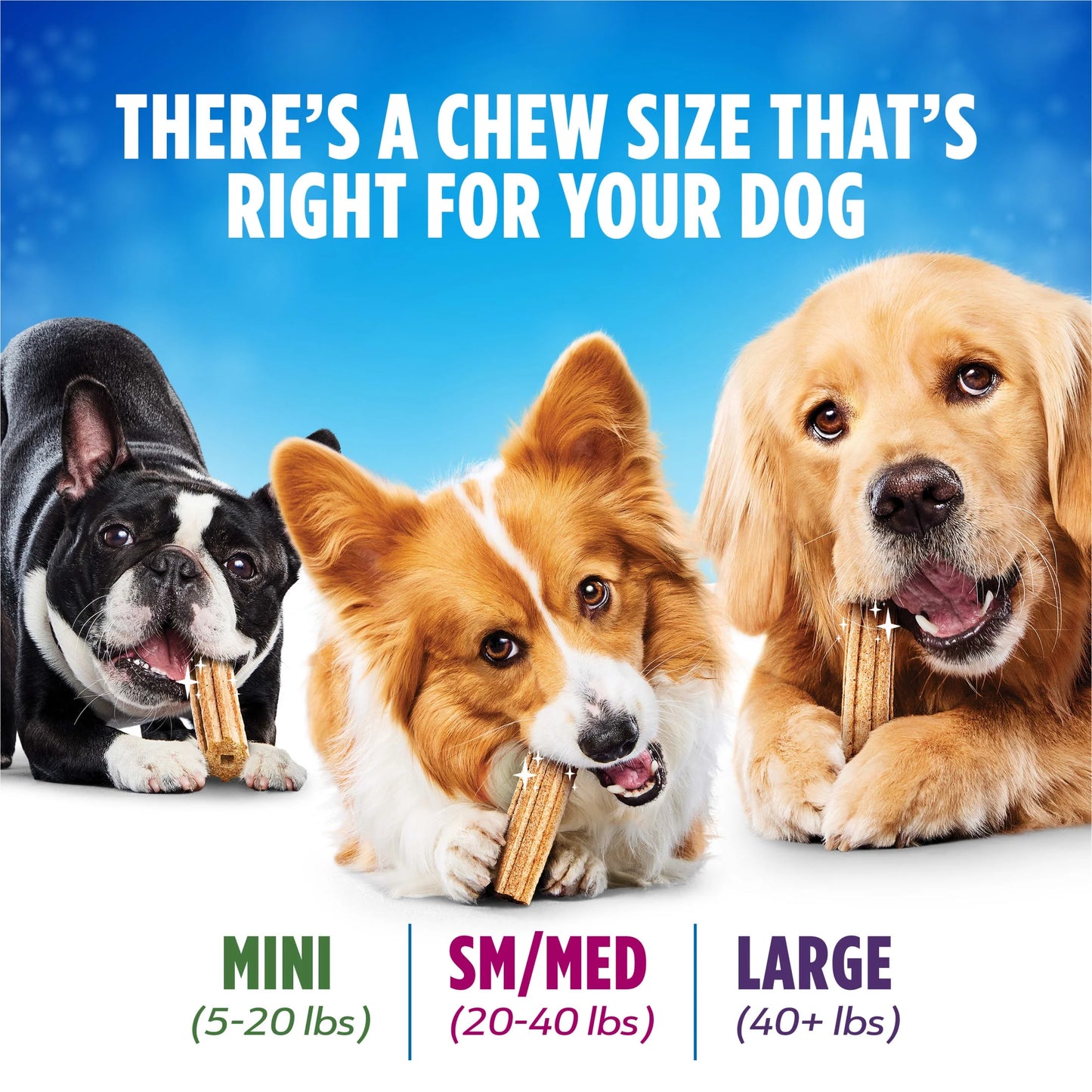 Purina Daily Oral Care Large Dog Dental Treats with Chicken, 20.7 Oz Pouch (18 Count)