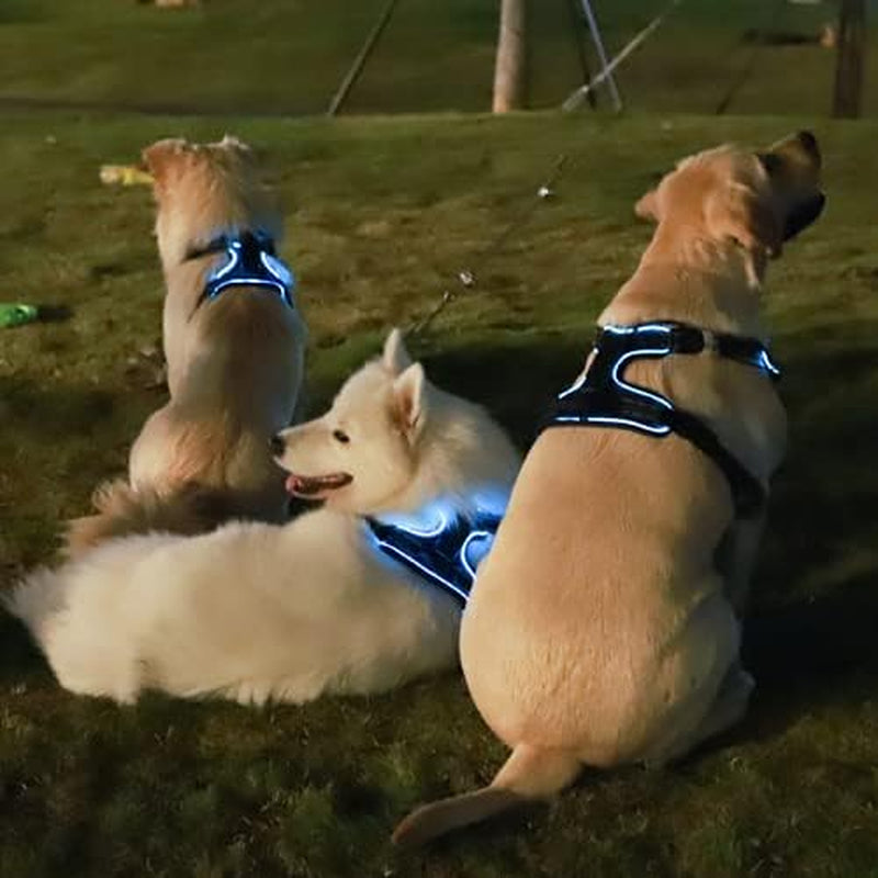 No Pull Dog Harness, Light up Dog Harness There Are 3 Light Modes with Control Handle and Reflective Strap, Adjustable Breathable Dog Vest Suitable for Small, Medium, Large Dogs(S)
